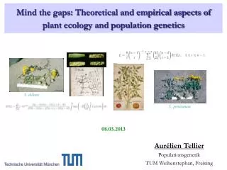 Mind the gaps: Theoretical and empirical aspects of plant ecology and population genetics