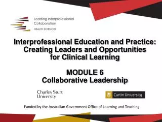Interprofessional Education and Practice: Creating Leaders and Opportunities