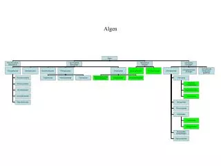 algen