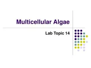 Multicellular Algae