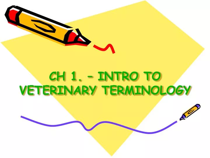 ch 1 intro to veterinary terminology