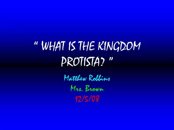 what is the kingdom protista