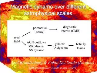 Magnetic dynamo over different astrophysical scales