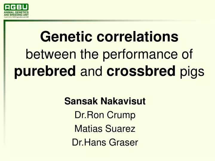 genetic correlations between the performance of purebred and crossbred pigs