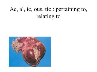 Ac, al, ic, ous, tic : pertaining to, relating to