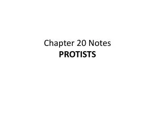 Chapter 20 Notes PROTISTS