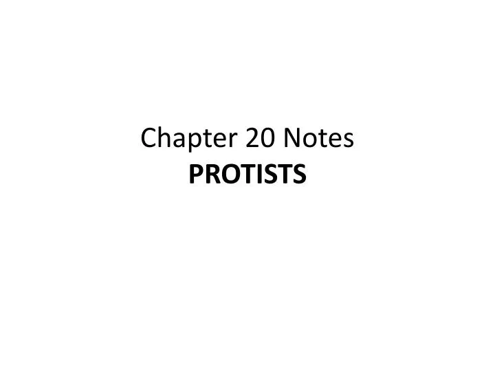 chapter 20 notes protists