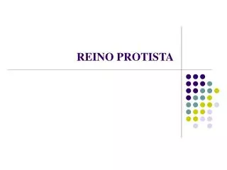 reino protista