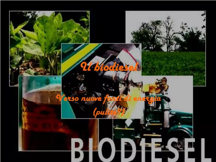 il biodiesel