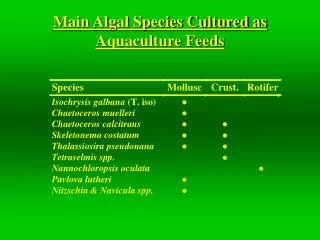 Main Algal Species Cultured as Aquaculture Feeds
