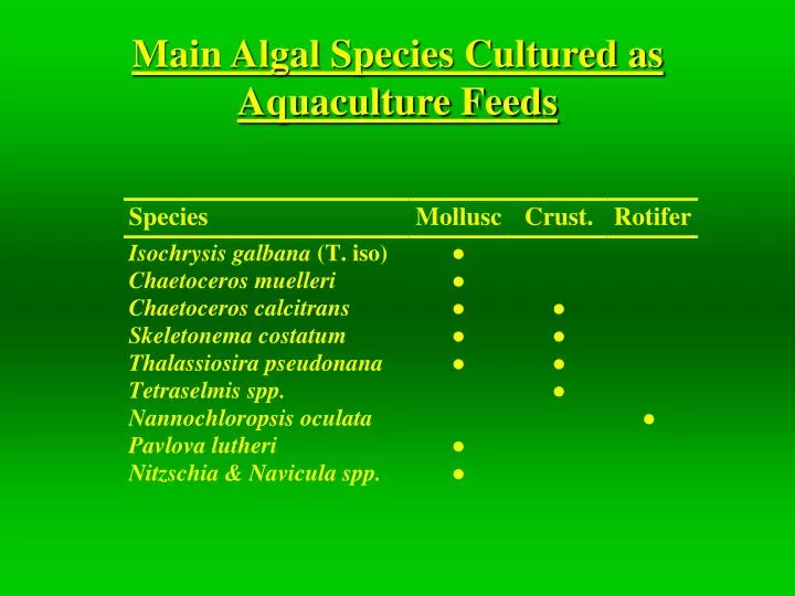 main algal species cultured as aquaculture feeds