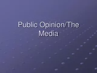 Public Opinion/The Media