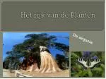 Het rijk van de Planten - slide 1