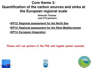 Core theme 3: Quantification of the carbon sources and sinks at the European regional scale