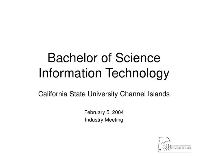 bachelor of science information technology