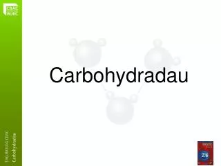 carbohydradau