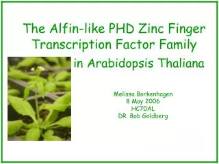 The Alfin-like PHD Zinc Finger Transcription Factor Family