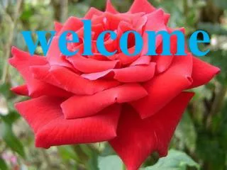 welcome