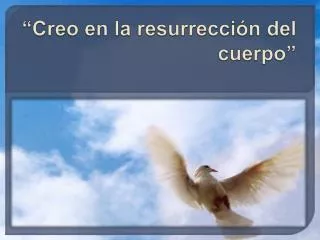 creo en la resurrecci n del cuerpo