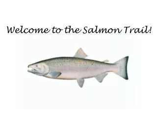 Welcome to the Salmon Trail!