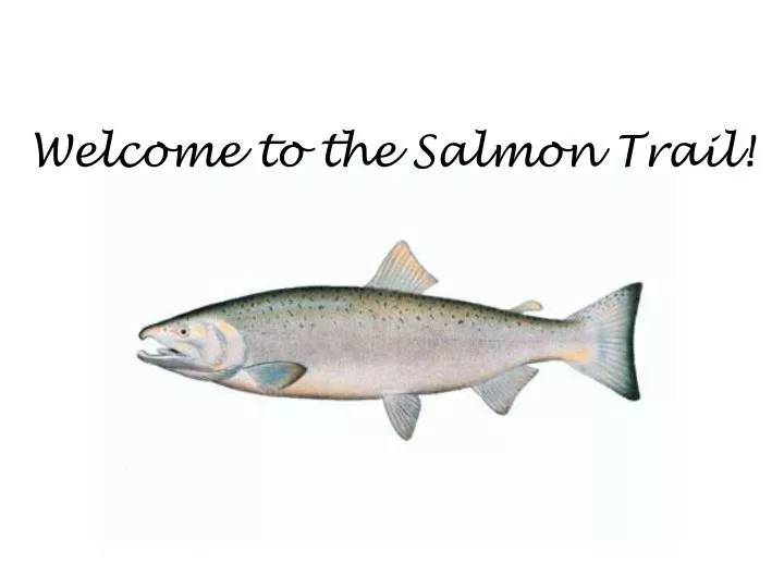 welcome to the salmon trail