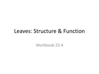 Leaves: Structure &amp; Function