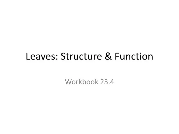 leaves structure function