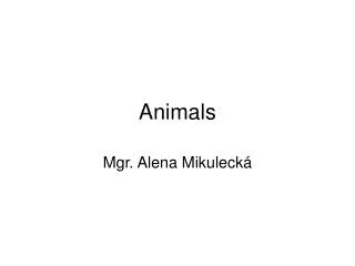 Animals