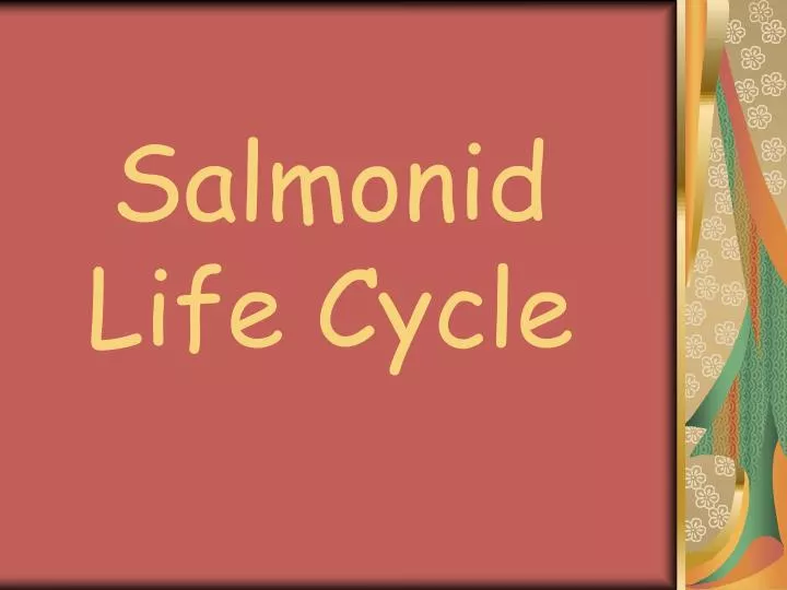 salmonid life cycle