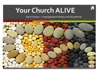 Your Church ALIVE