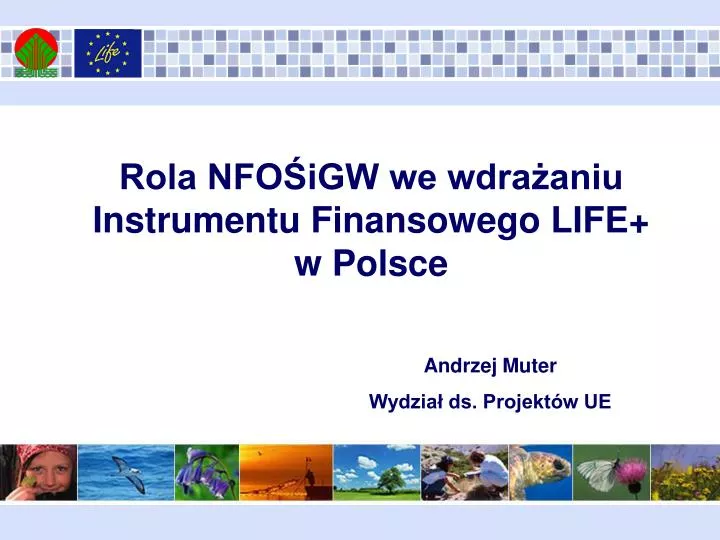 rola nfo igw we wdra aniu instrumentu finansowego life w polsce