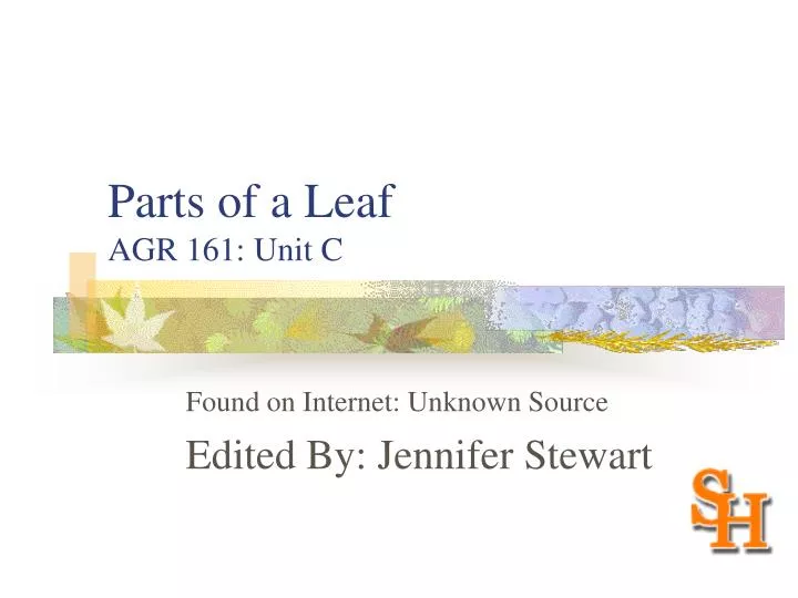 parts of a leaf agr 161 unit c