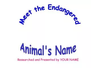 Animal's Name
