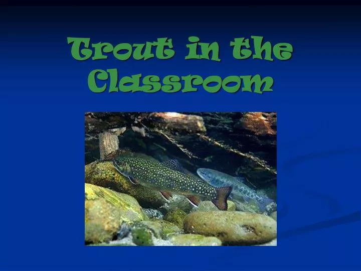 trout in the classroom