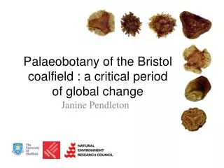 Palaeobotany of the Bristol coalfield : a critical period of global change