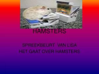 hamsters