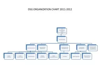 dsg organization chart 2011 2012