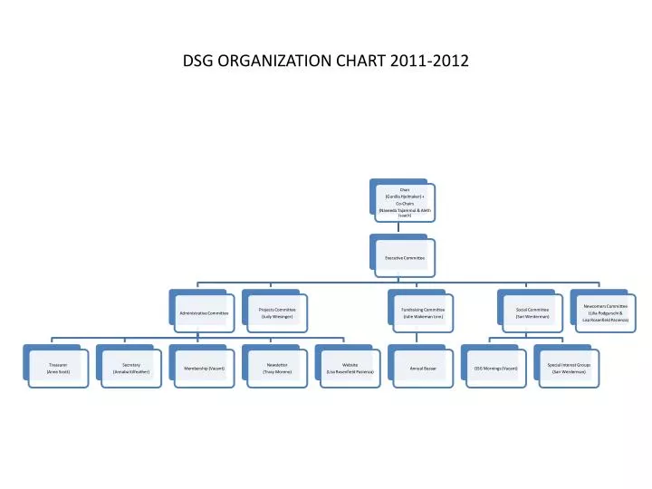 dsg organization chart 2011 2012