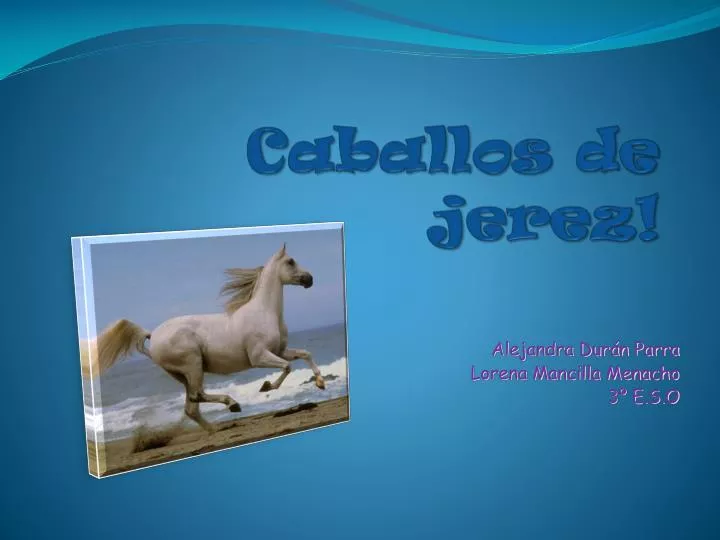 caballos de jerez