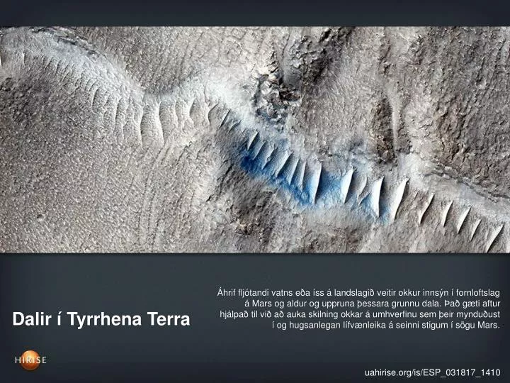 dalir tyrrhena terra