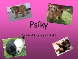 ps ky