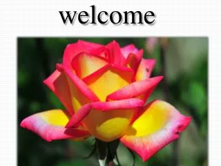 welcome