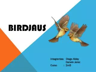 birdjaus