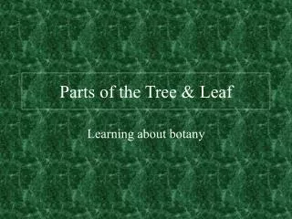 Parts of the Tree &amp; Leaf