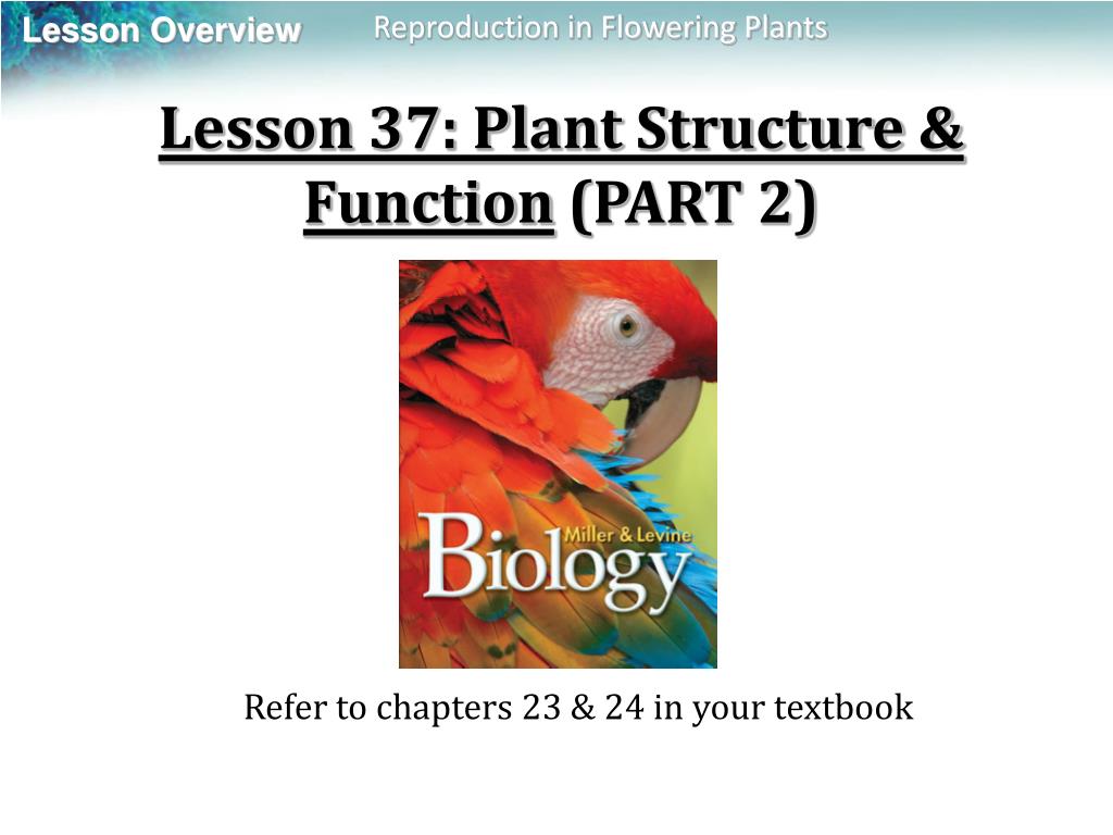 PPT - Lesson 37: Plant Structure & Function (PART 2) PowerPoint ...