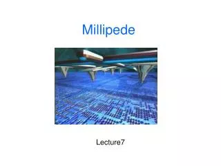 millipede