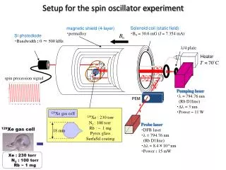 Setup for the spin oscillator experiment
