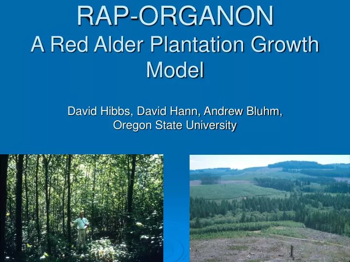 rap organon a red alder plantation growth model