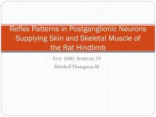Reflex Patterns in Postganglionic Neurons Supplying Skin and Skeletal Muscle of the Rat Hindlimb