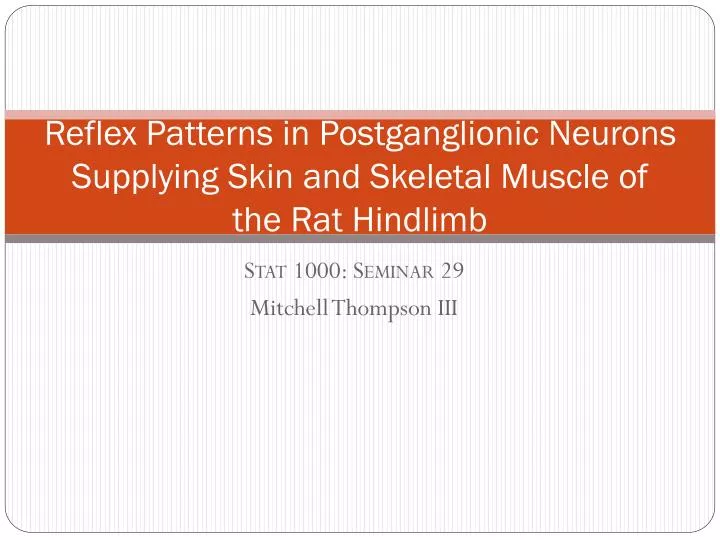 reflex patterns in postganglionic neurons supplying skin and skeletal muscle of the rat hindlimb